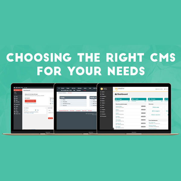 Types of CMS