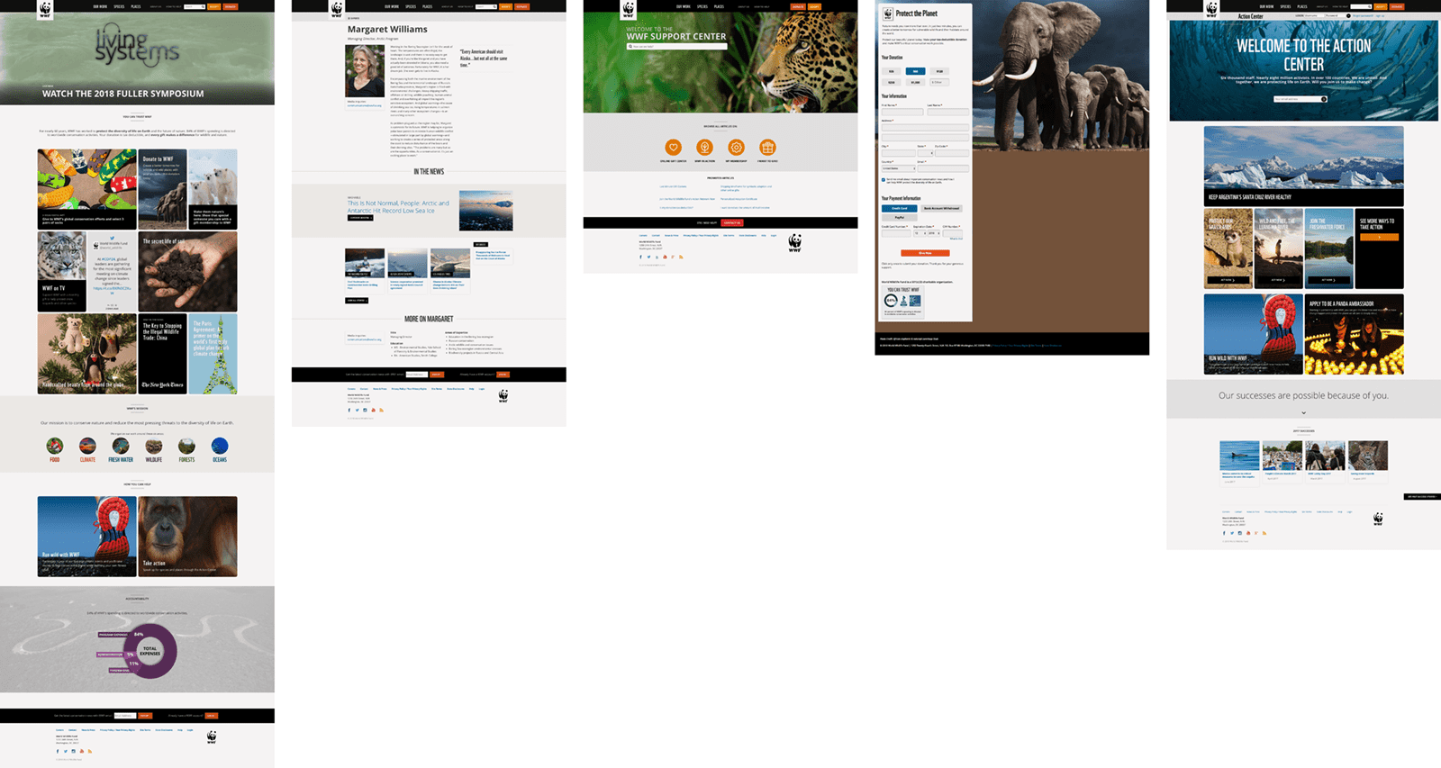 worldwildlife.org is a good website design example for its strategic content organization