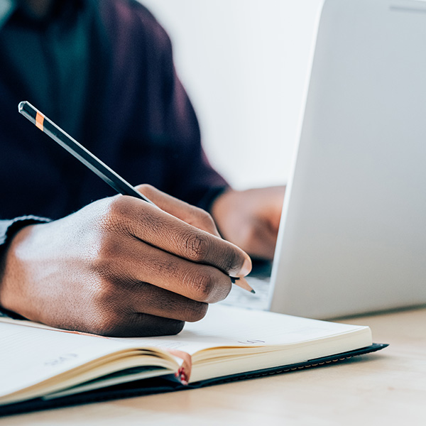 auditing web page