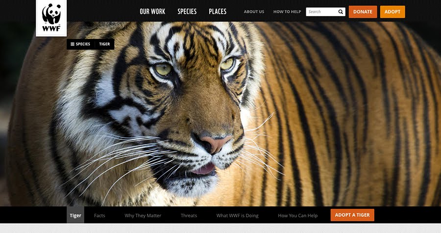 WWF
